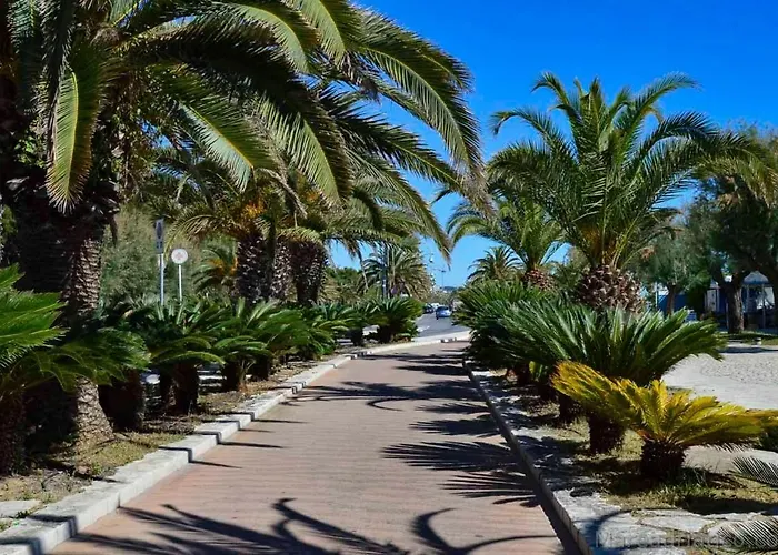 Trilocale Volta In Seconda Fila Mare *